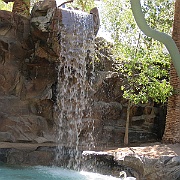 Picture 098